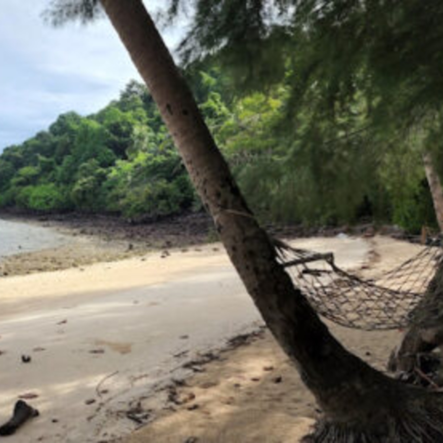 พระอาทิตย์ขึ้นสีทองเหนือทะเลและหมู่เกาะที่หาดสามร้อยยอด ใกล้ Lyndale Lodge