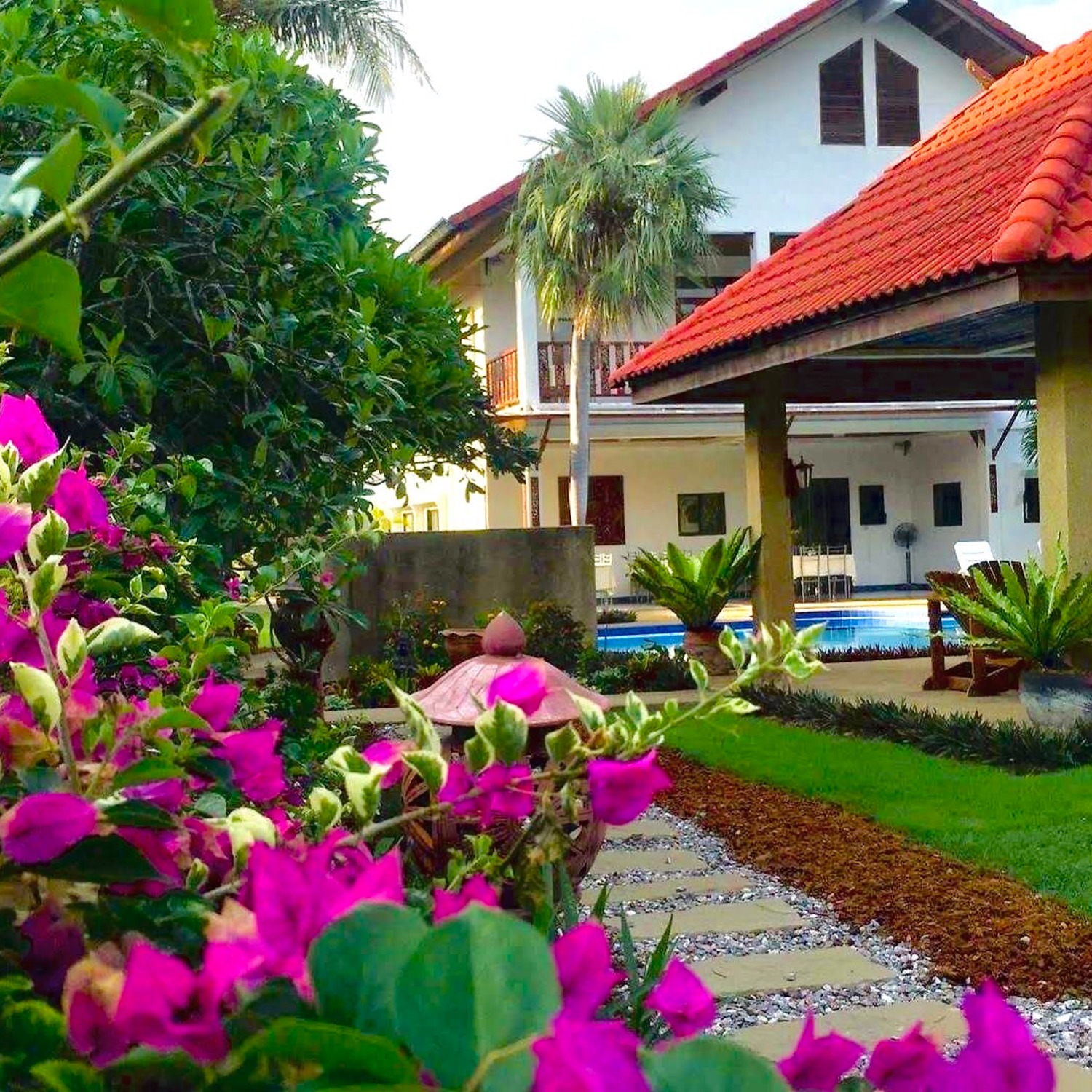 Tropical garden in bloom — Lyndale Lodge