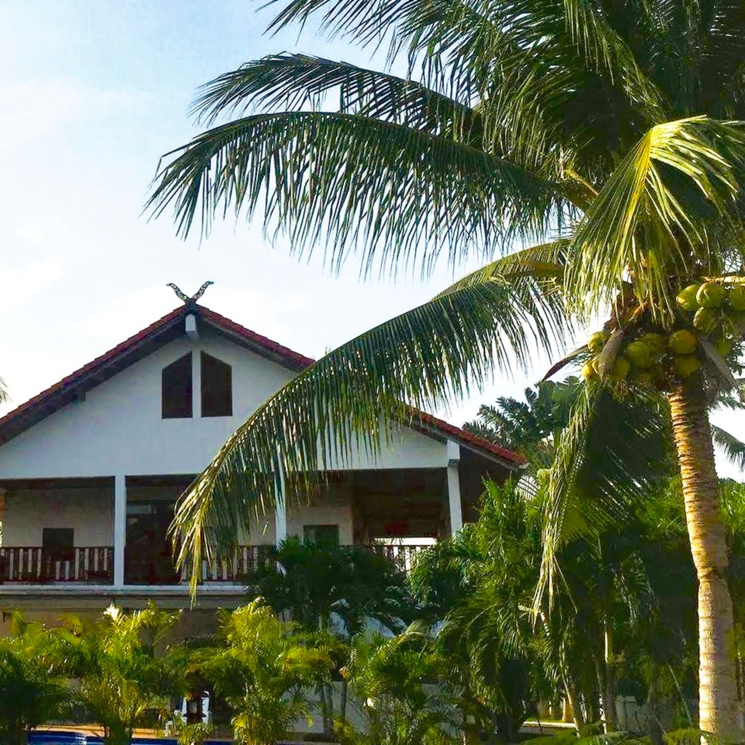 Sea views and palms — Lyndale Lodge