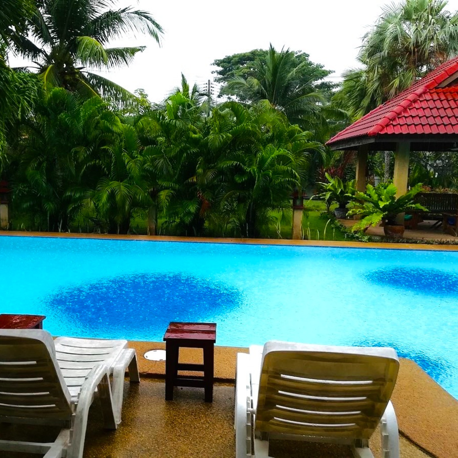 สระว่ายน้ำและสวนเขตร้อนมองจากมุมนั่งริมสระที่ร่มรื่นของ Lyndale Lodge